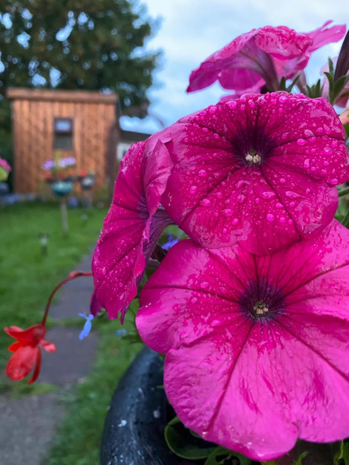 Birds And The Bees Summer House Endon ภายนอก รูปภาพ
